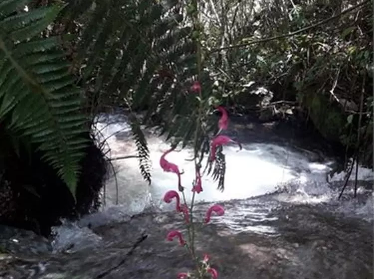 هتل Eco Hacienda Roman