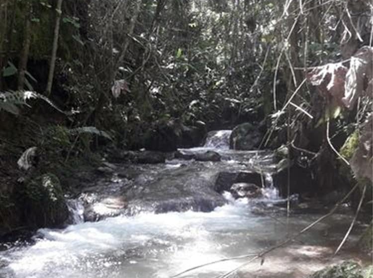 فندق Eco Hacienda Roman