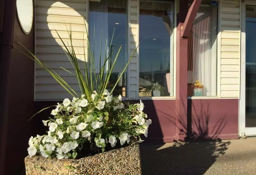 モーテル Dc Lodge