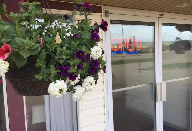 モーテル Dc Lodge