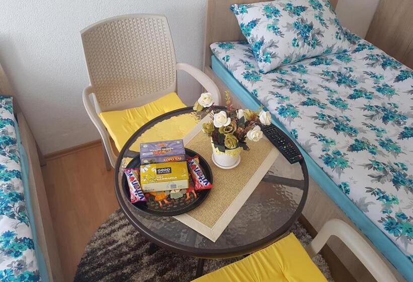 پانسیون Apartment Elmari