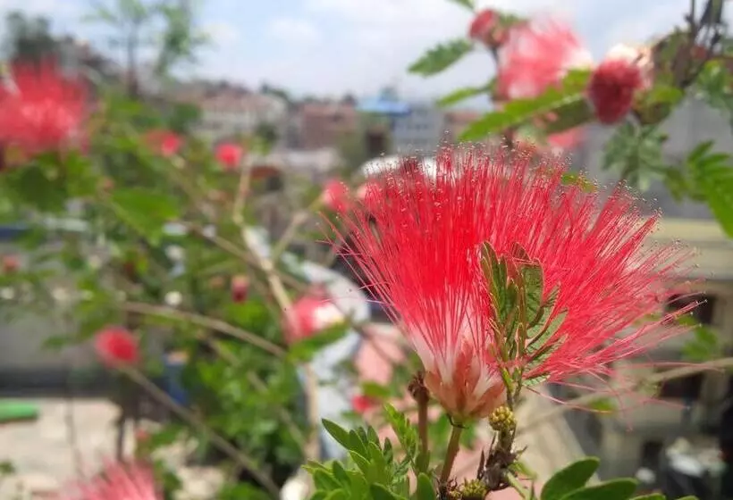 تختخواب و صبحانه Ananda Tree House Eco Homestay