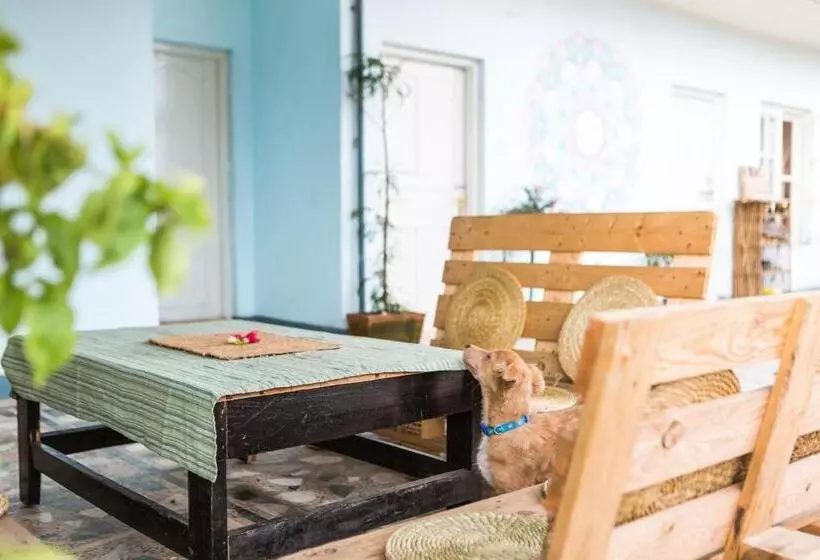 تختخواب و صبحانه Ananda Tree House Eco Homestay