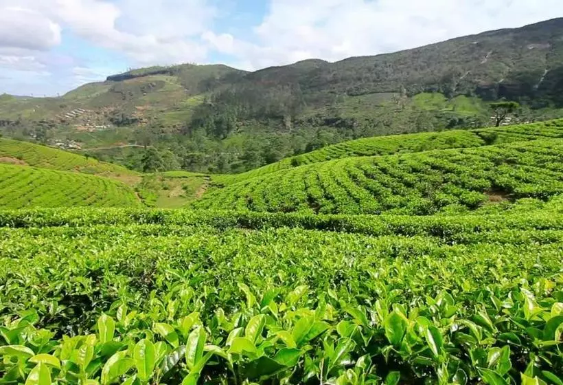 Bed and Breakfast Riverview Lodge