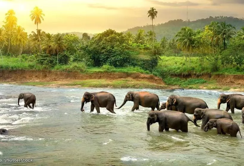 Bed and Breakfast Riverview Lodge