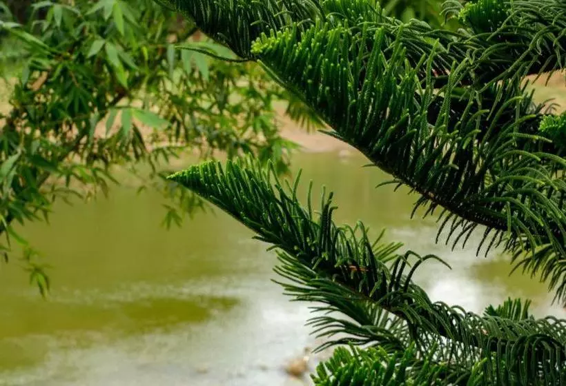 Bed and Breakfast Riverview Lodge