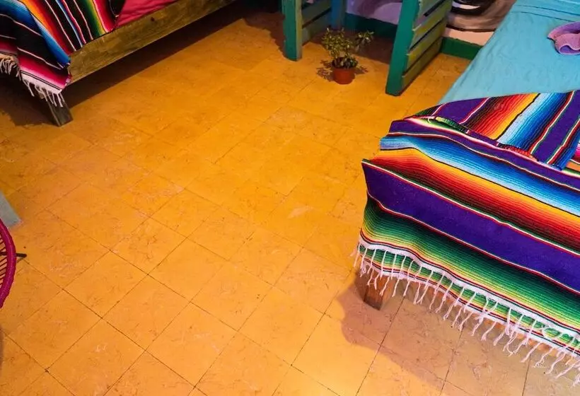 هتل Hostal Chesal