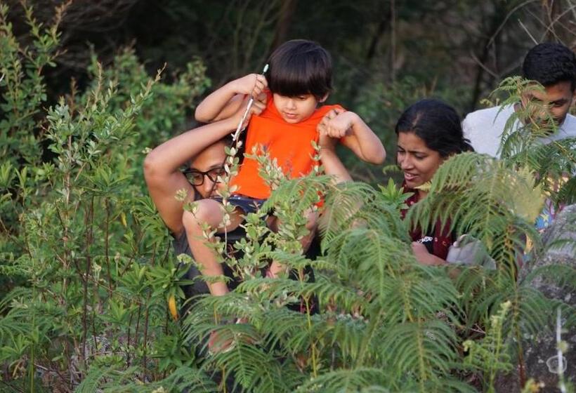 La Niebla Farm Resort