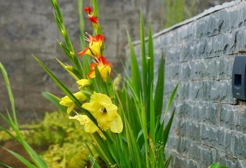 La Niebla Farm Resort