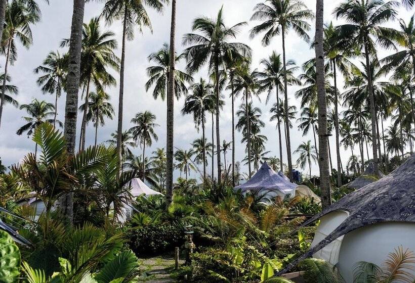 Mad Monkey Hostel Nacpan Beach