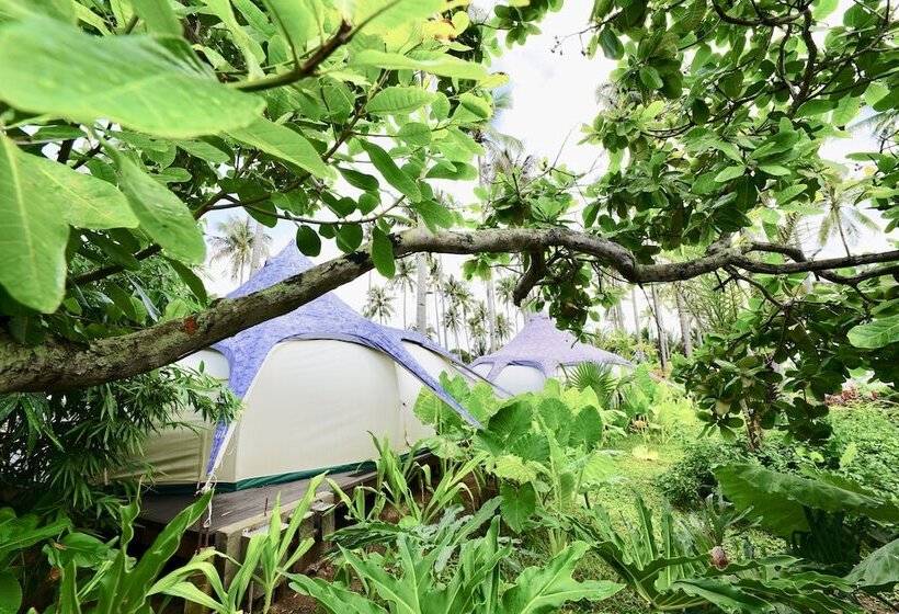 Mad Monkey Hostel Nacpan Beach