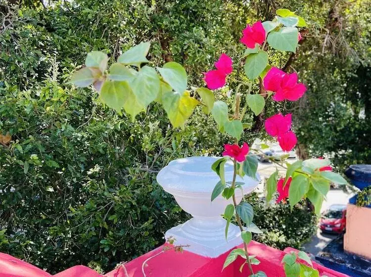 Reef Hostel & Pousada