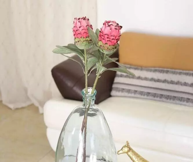 پانسیون Denver Echo  Executive Guest House