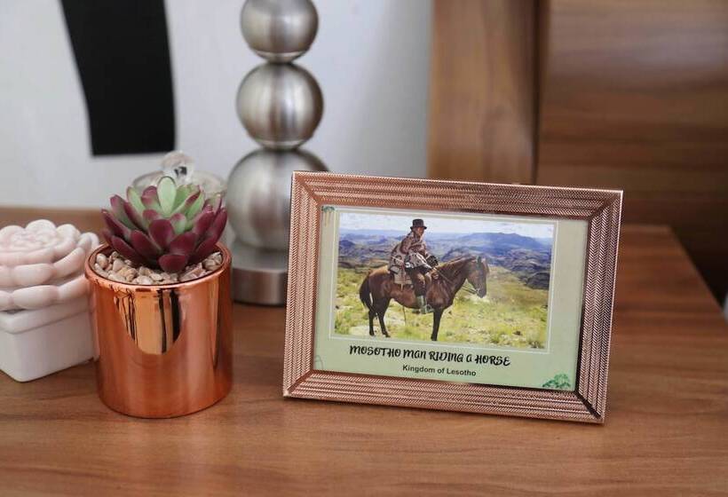 پانسیون Denver Echo Executive Guest House