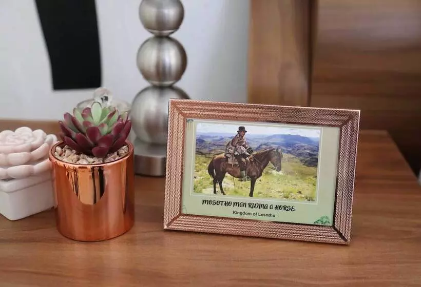 پانسیون Denver Echo  Executive Guest House