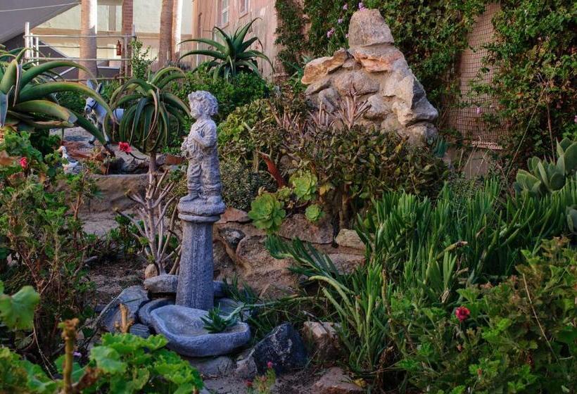 پانسیون Oceanlife Accommodation Luderitz