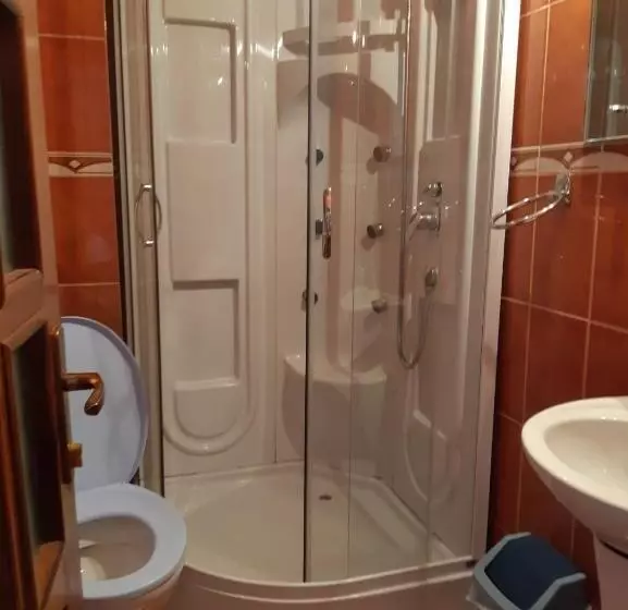 ペンション Casa Flavius