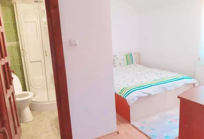 ペンション Casa Flavius