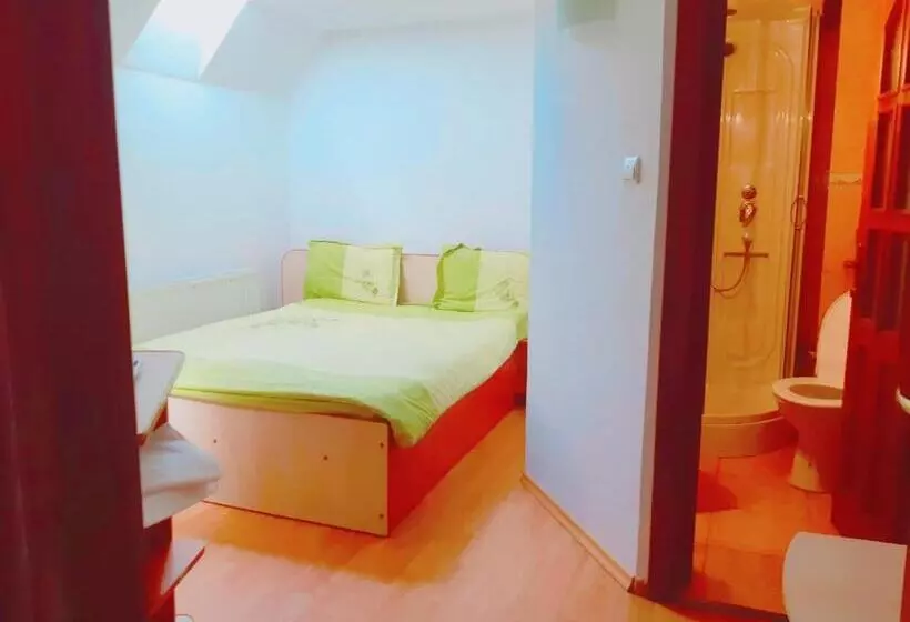 ペンション Casa Flavius