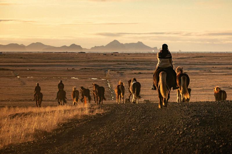هتل Skalakot Manor
