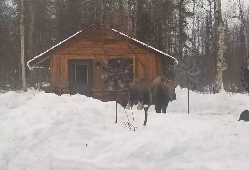 ペンション Talkeetna Fireweed Cabins