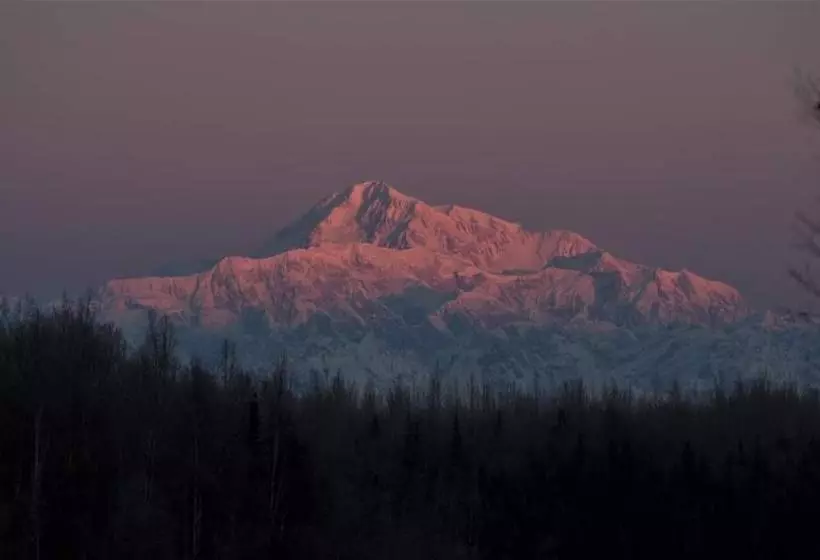 ペンション Talkeetna Fireweed Cabins