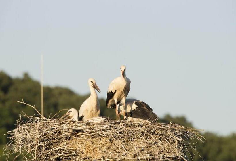 Albergue Gasthaus Schwarzer Adler