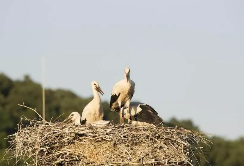 Retkeilymaja Gasthaus Schwarzer Adler
