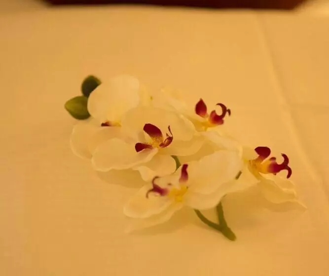 Retkeilymaja Gasthaus Schwarzer Adler