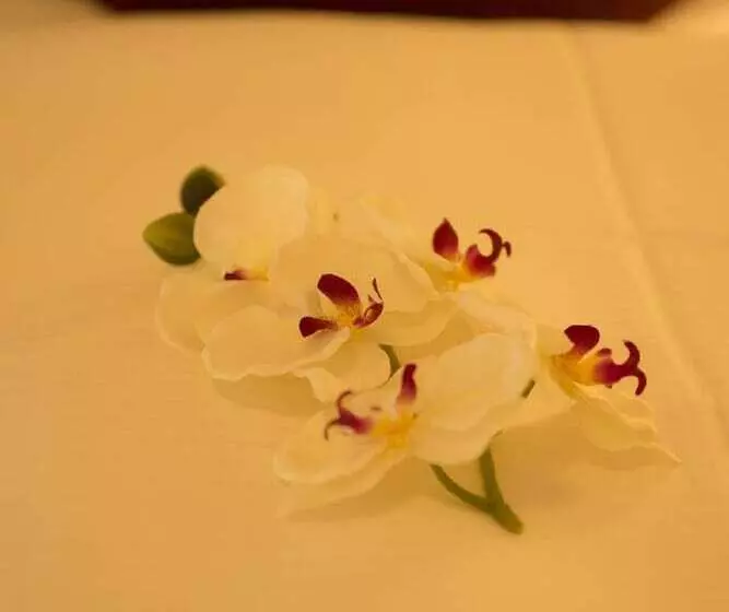 Retkeilymaja Gasthaus Schwarzer Adler