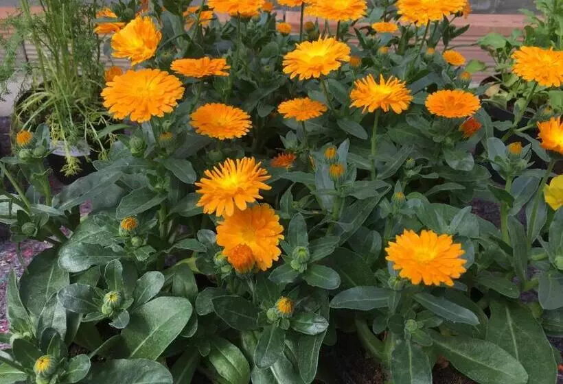 هتل Agriturismo Biomatto