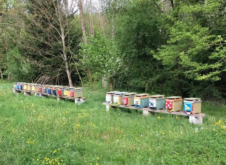 هتل Agriturismo Biomatto