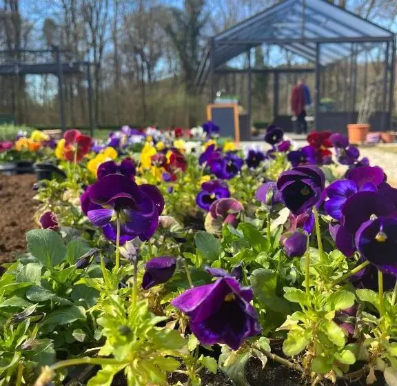 هتل Agriturismo Biomatto