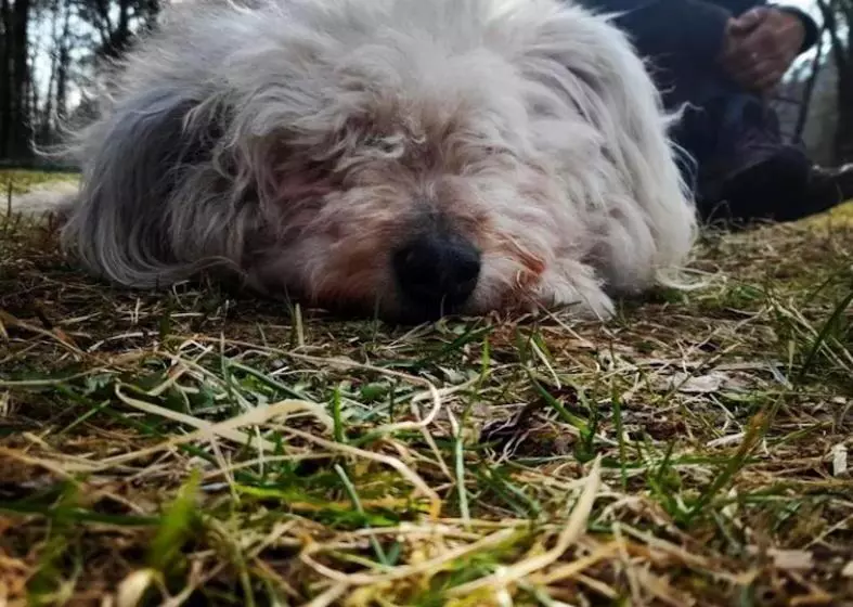 هتل Agriturismo Biomatto