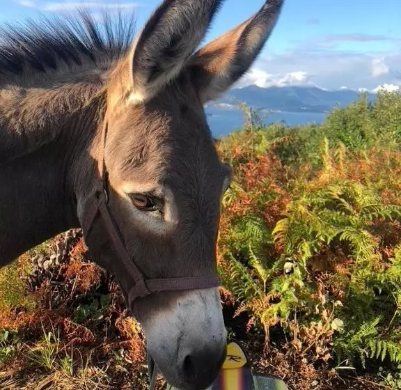 هتل Agriturismo Biomatto
