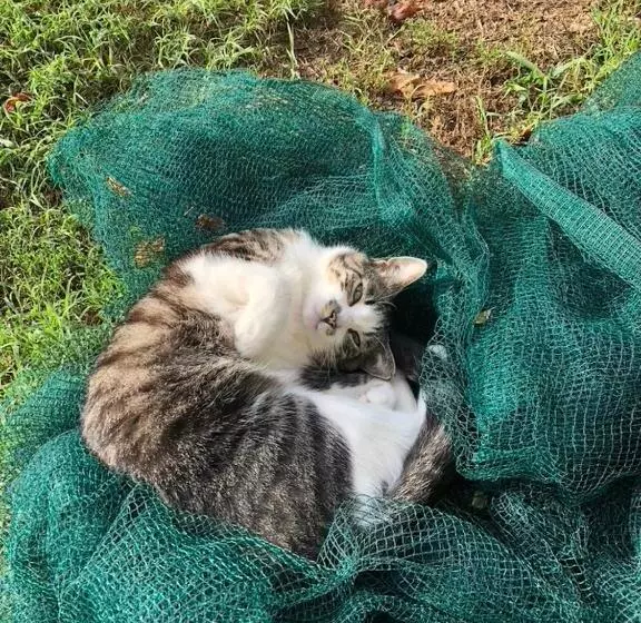 هتل Agriturismo Biomatto