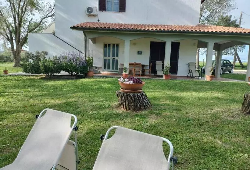 ホテル Agriturismo Uliveto Gretacci