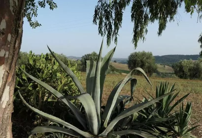 ホテル Agriturismo Uliveto Gretacci