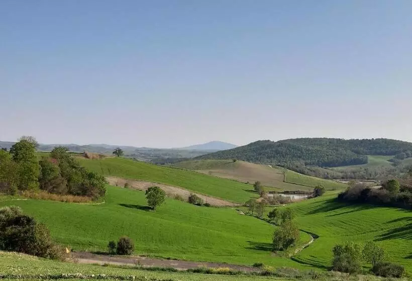 ホテル Agriturismo Uliveto Gretacci
