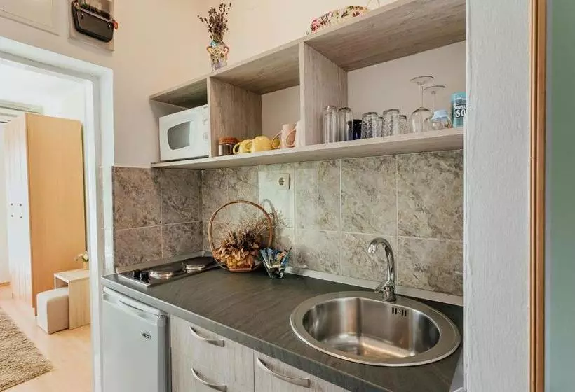 پانسیون Apartmani Vico