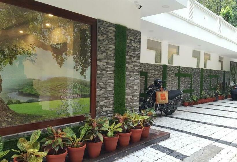 Szálloda Tree Blanche