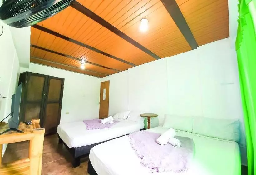 تختخواب و صبحانه Hostal La Mercedes Street