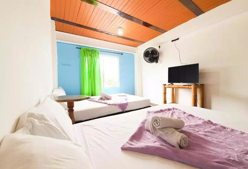 تختخواب و صبحانه Hostal La Mercedes Street