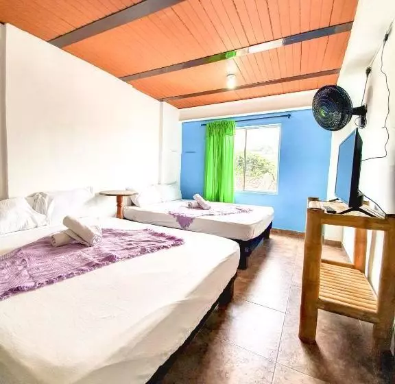 تختخواب و صبحانه Hostal La Mercedes Street