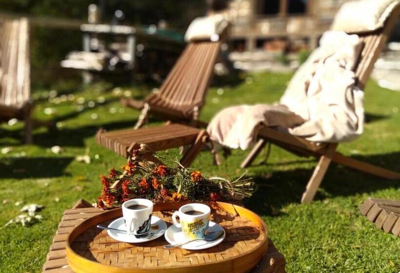 住宿加早餐  Nuit A Pleiney