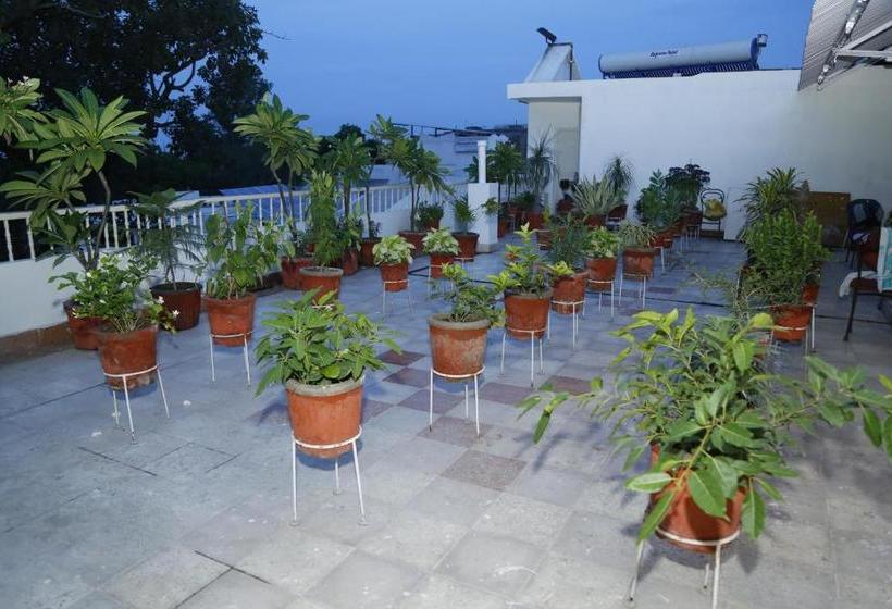 בית מלון כפרי Omega Blu