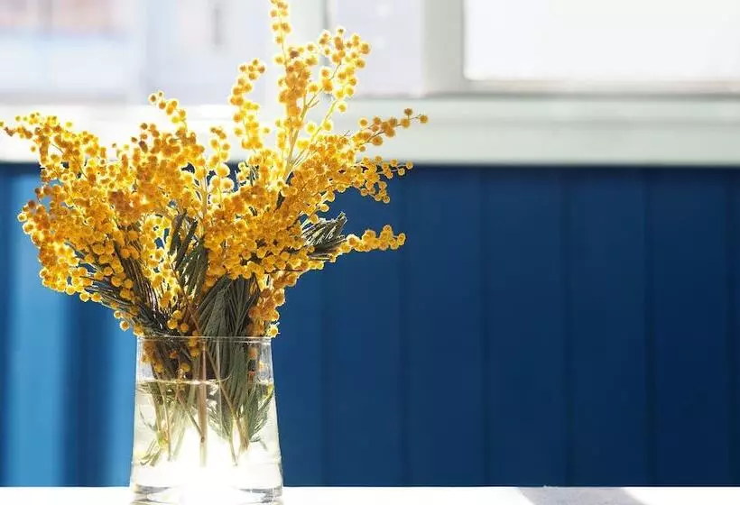 Hotelli Voco St Augustine Historic Area, An Ihg