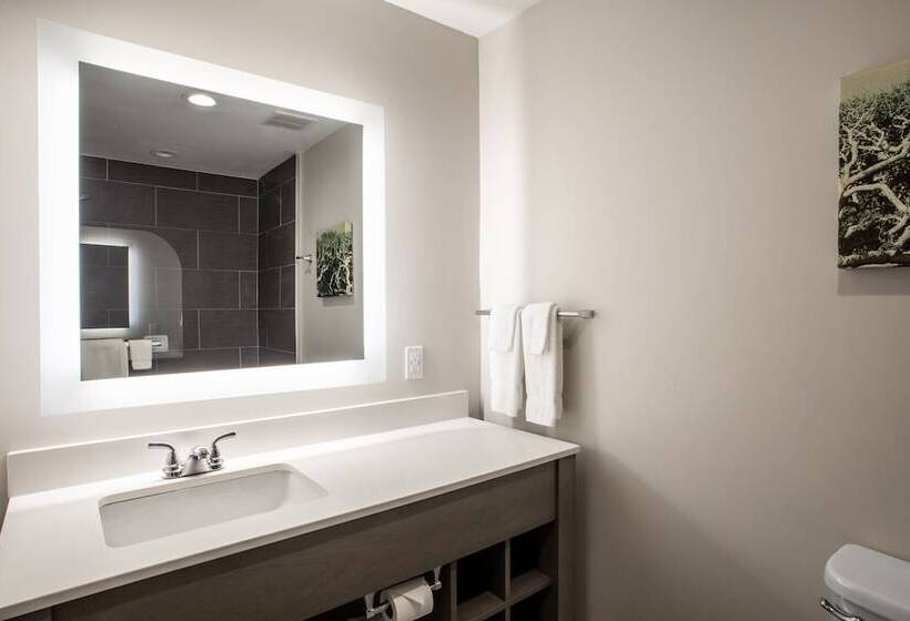 فندق Voco St Augustine Historic Area, An Ihg