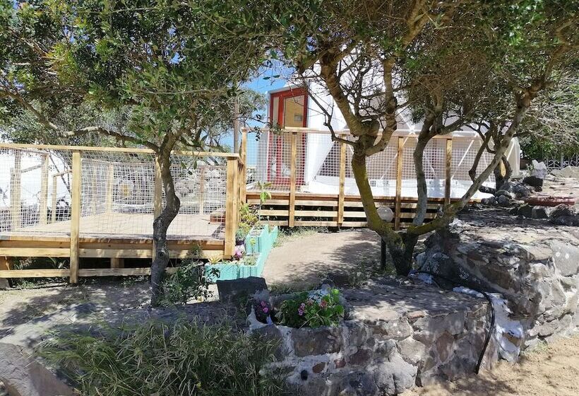 B&b Glamping Semaforo Capo Sperone