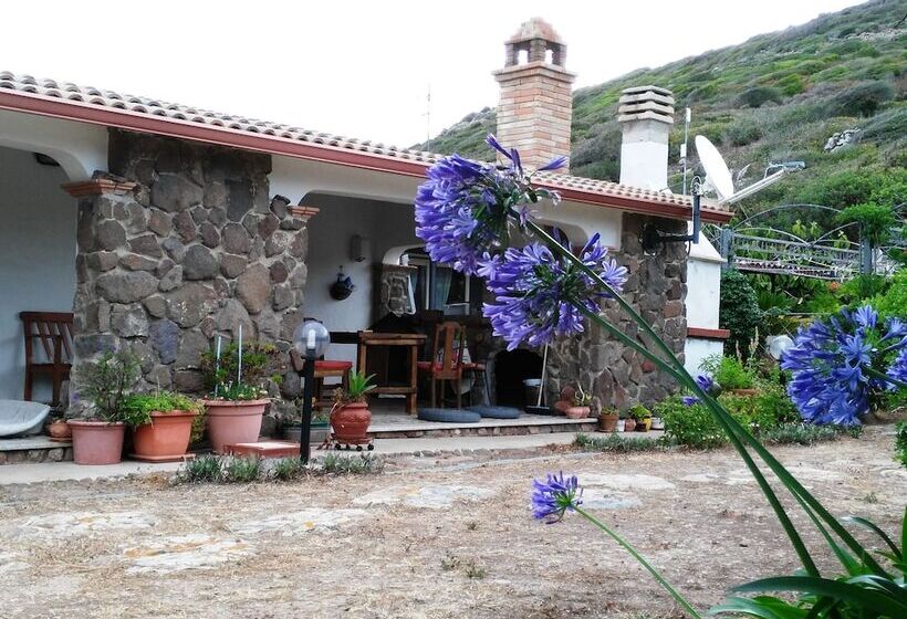 B&b Glamping Semaforo Capo Sperone